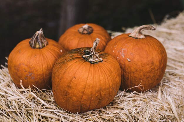 Four pumpkins over a block of straw in a rural Halloween scene