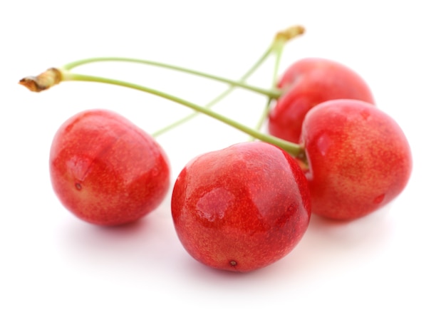 Four Sweet Cherries with stems on white.