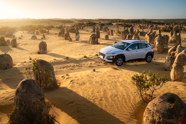西オーストラリア州ナンバン国立公園のピナクルズ砂漠の未舗装の道路、ピナクルズドライブの四輪駆動車、オーストラリア。