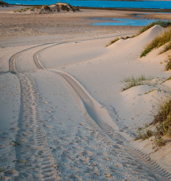 Four Wheel Drive Car Tire Print On Sand Dune In The Beach Of Trafalgar, Cadiz, Spain.