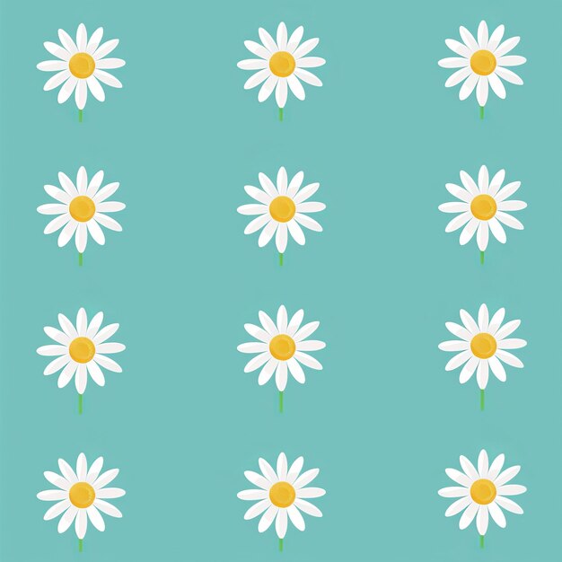 Photo four white chamomile set line camomile circle icon love card symbol growing concept flat design isolated green background