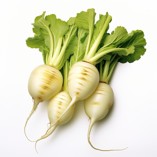 Four white turnips with green leaves on a white background