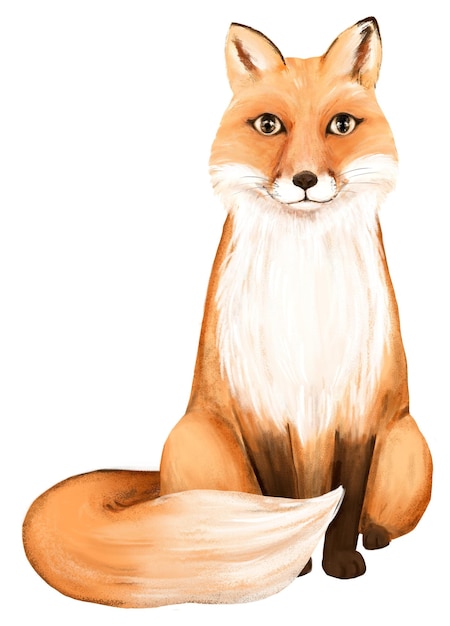 フォックス png スティッカー 可愛い動物のイラスト 透明な背景