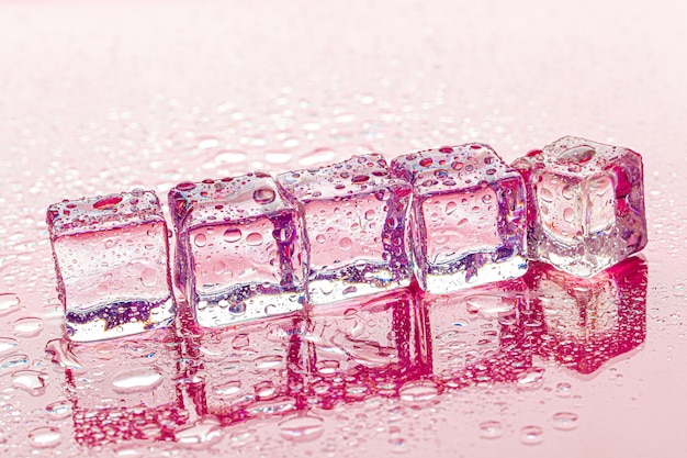 Fozen ice cubes on wet pink surface