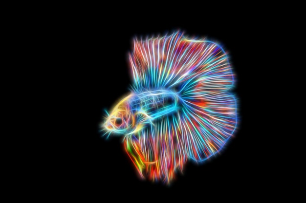 fractal abstract neon betta fish