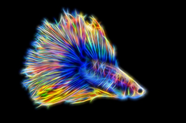 fractal abstracte neon betta vis