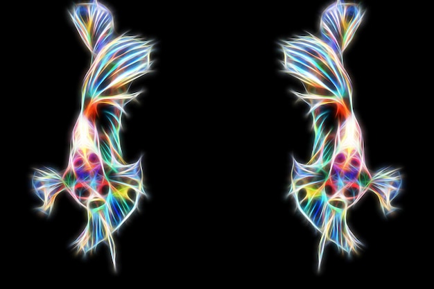 fractal lighting betta splendens fish