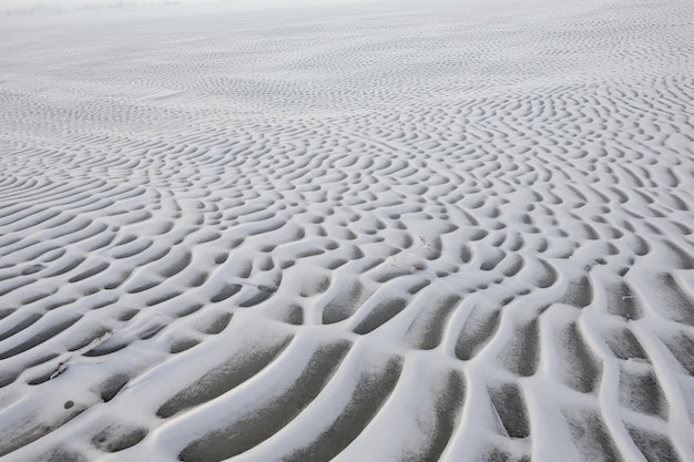Fractale patronen in een besneeuwd veld