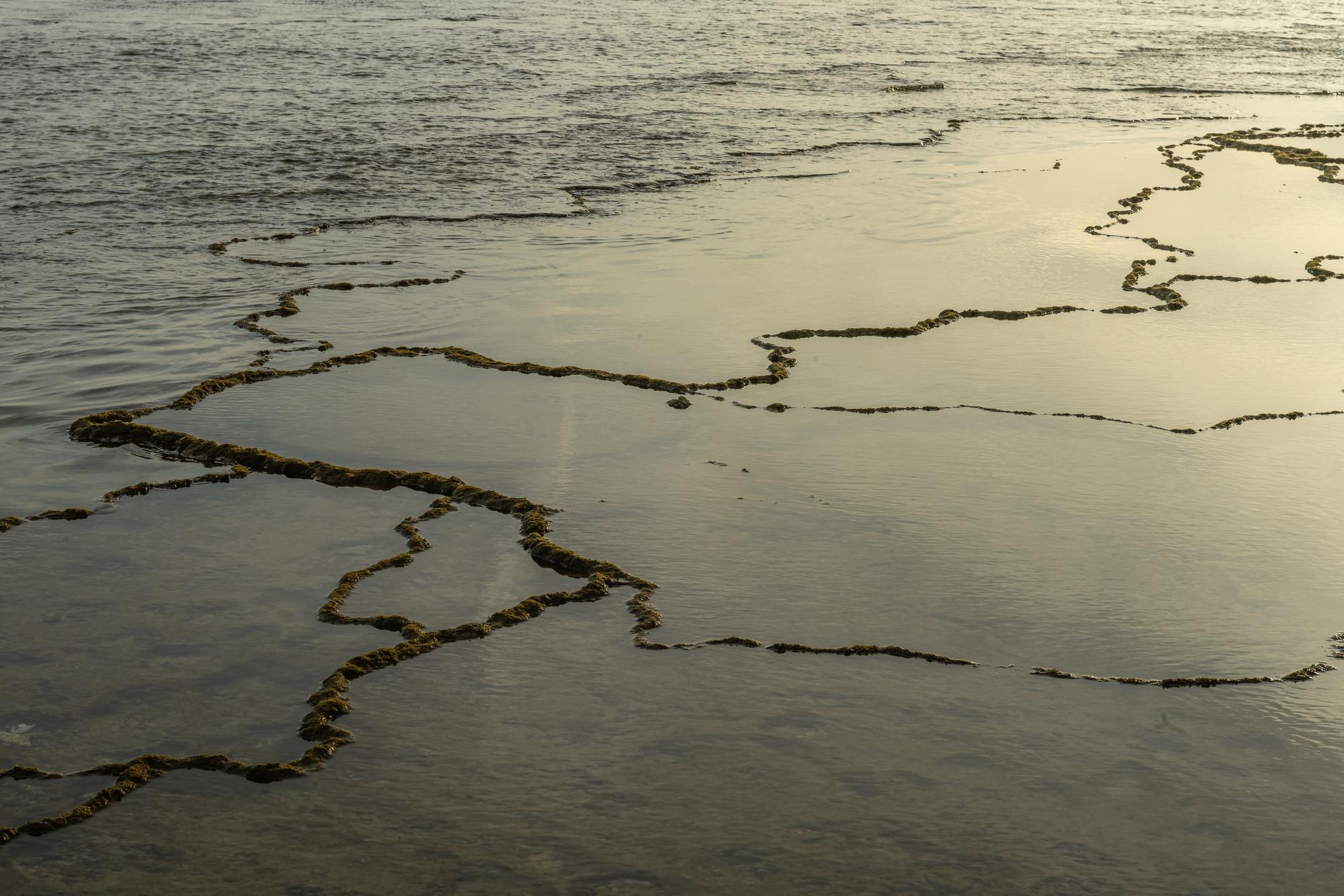 Fractals aan de kust van Trafalgar in de Meca-pijpen van Cadiz, Spanje