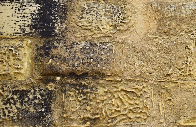 A fragment of an ancient stone wall. The texture of the wall taken in daylight.