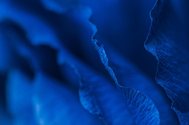 Fragment of a blue flower made of crepe paper Blurred background