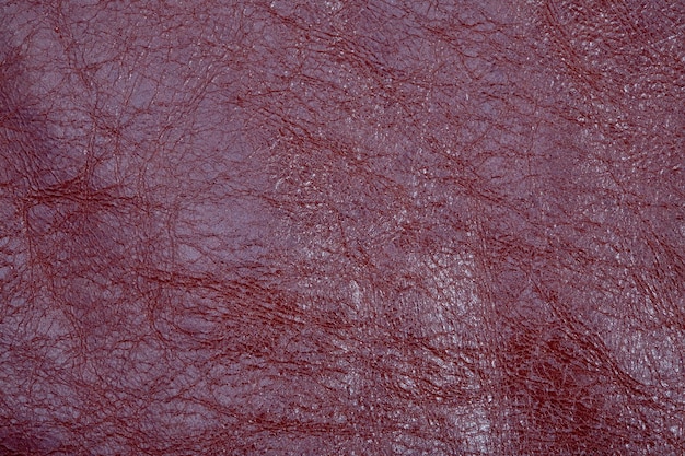 Fragment of cherry leather