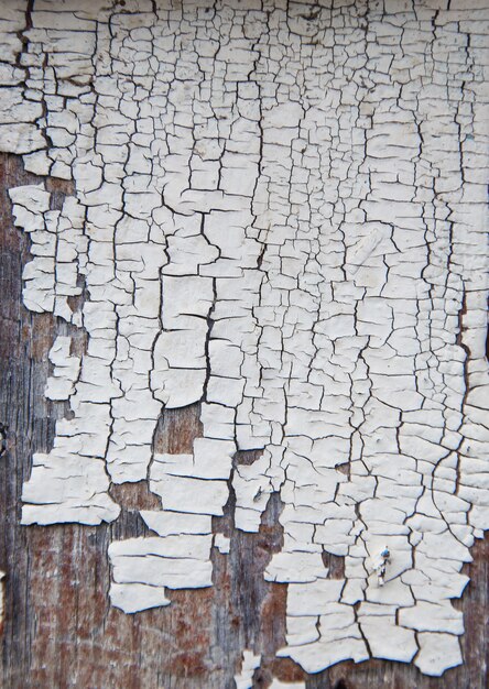 Foto frammento di una recinzione fatta di vecchie tavole di legno con resti di vernice e chiodi