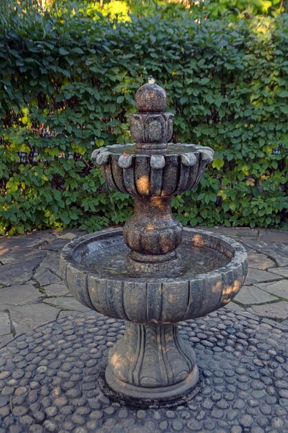 Fragment of landscape design of the park. Garden fountain against the background of green bushes.