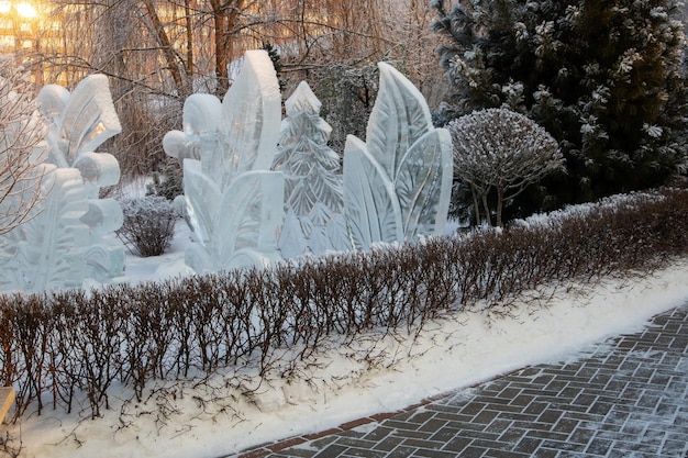 Fragment of a landscape park in winter Alleys trees trimmed bushes ice figures