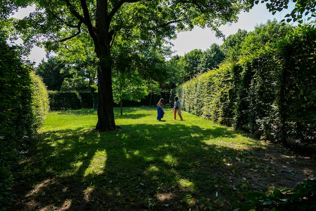 A fragment of the park in the Schoenbrunn Palace Park