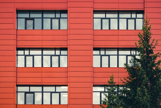 Fragment of red wall of modern office building with rectangular windows near coniferous tree. Interaction of creations of man and nature.