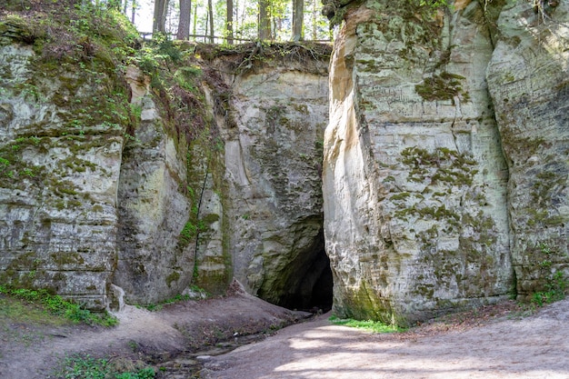 Fragment of sandstone cliff big elita with cave in forest in sunny day beautiful spring or early