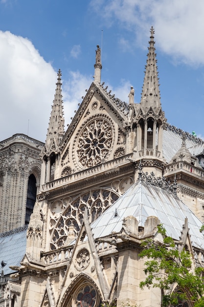 Fragment of southern facade of Notre Dame de Paris Cathedral