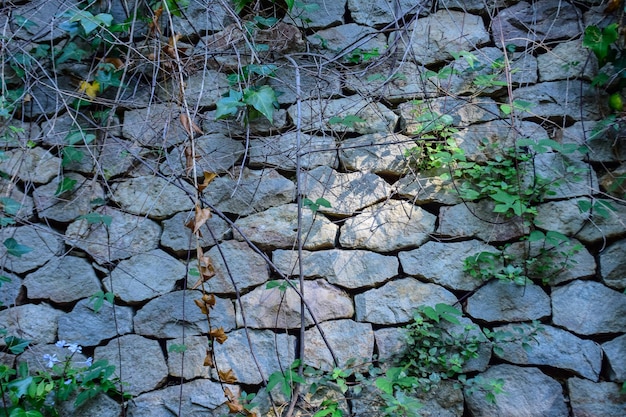 Fragment of stone wall in a park Barcelona Spain