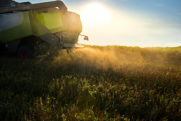 fragment van een maaimachine bij het werken bij zonsondergang door het stof van het oogsten op het veld