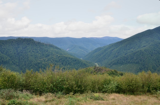 Fragment van het bergachtige terrein in de Karpaten, Oekraïne