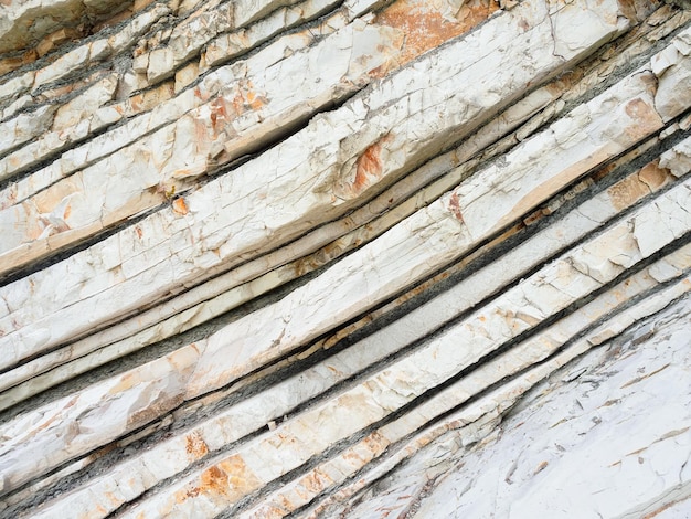 Fragment of white limestone rock