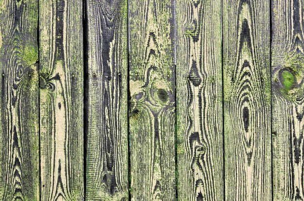 Fragment of wooden fence