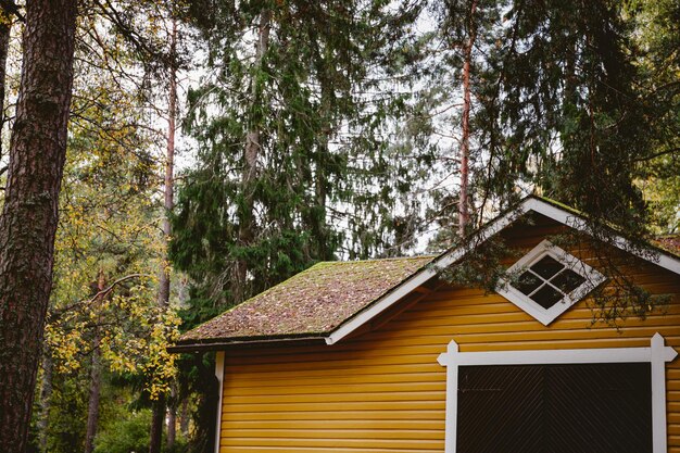 Foto frammento di casa gialla finlandese in legno in una foresta