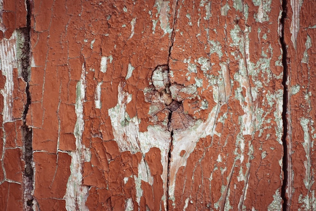 Fragment of a wooden texture