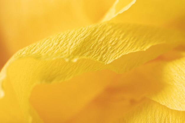 Fragment of a yellow flower made of crepe paper Macro photography