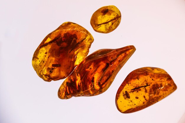 Fragments of amber closeup Natural amber with pieces of antiquities inside