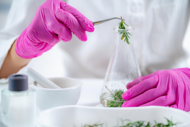 향기 재료를 준비하는 식물을 혼합하는 향기 실험실 과학자
