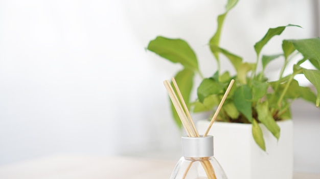 Bastoncini di profumo in bottiglia di vetro con fiore in un vaso su fondo bianco. bastoncini profumati per ambienti. messa a fuoco selettiva