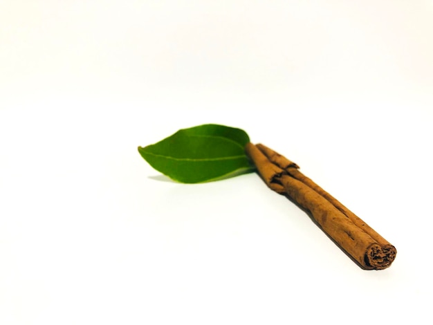 Fragrant cinnamon sticks on a white background