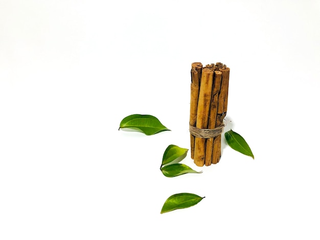 Fragrant cinnamon sticks on a white background