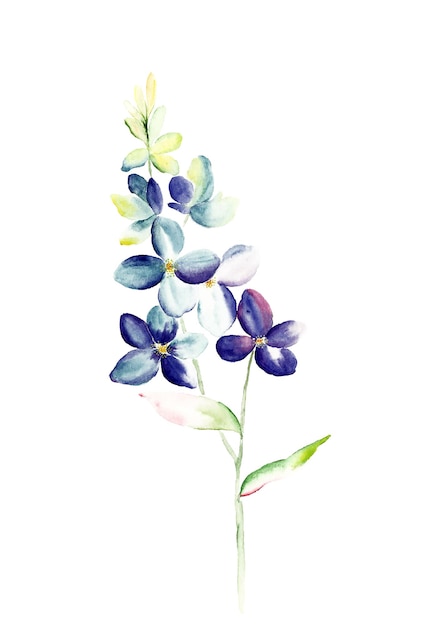 Fragrant flowers blossoming all year round, the leaves and flowers art design.