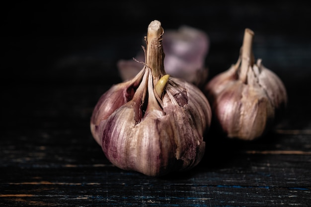 Fragrant garlic on a dark background with space for text.