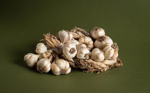 Fragrant Garlic wreath lies on olive background Agriculture and farming