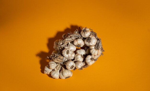 Fragrant Garlic wreath lies on yellow background Agriculture and farming