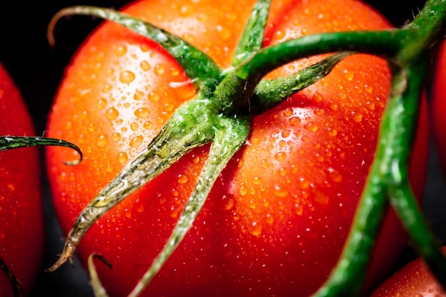 Fragrant ripe tomatoes with drops of water