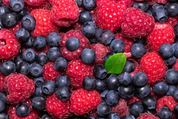 Framboos en bosbes. Verse organische bessenmacro. Fruit achtergrond.