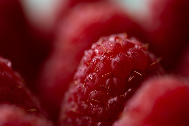 Framboos. Frambozen. Achtergrond berry.Fresh berrys.Raspberry met drops.Raspberry macro shot.Red