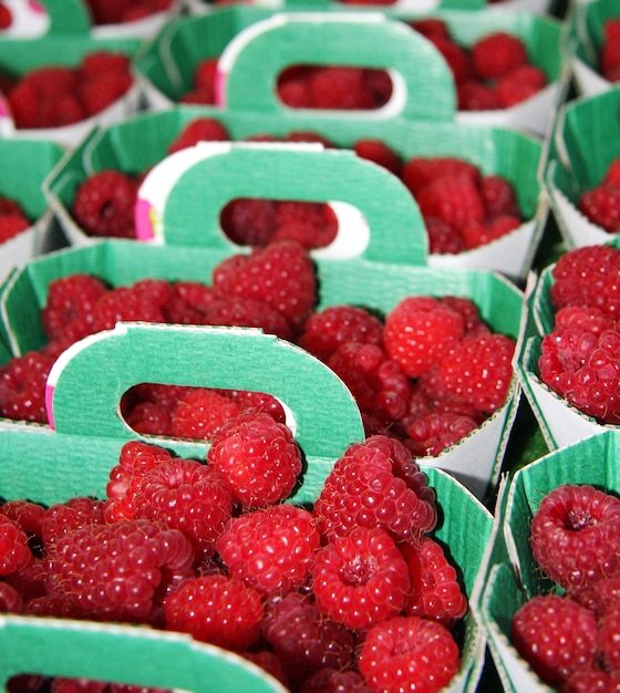 Frambozen in punnets te koop op een markt