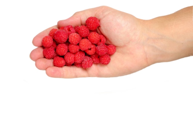 Frambozenbes in de hand van een man op een witte achtergrond.