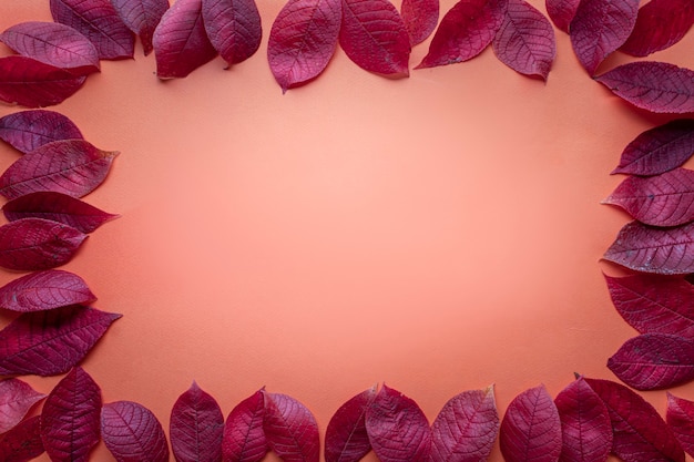 Foto cornice di foglie d'autunno. layout di concetto senza testo sul tema ciao autunno.