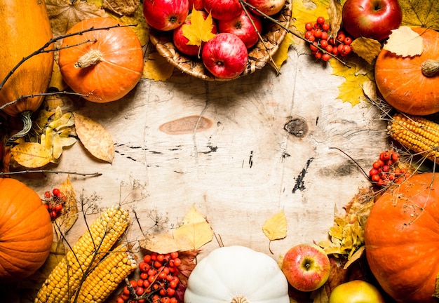 Photo frame of autumn vegetables and fruits