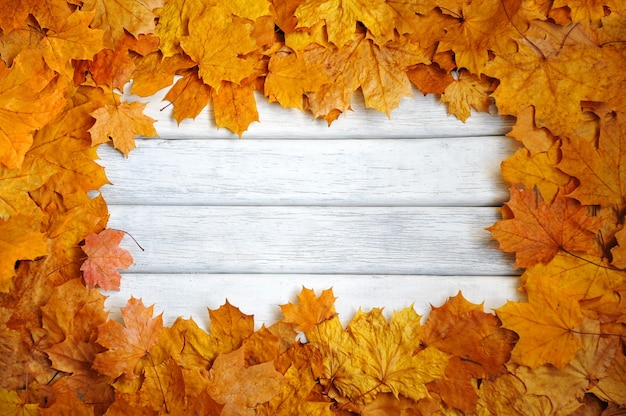 Cornice di foglie autunnali, gialle su una superficie bianca in legno. sfondo autunnale.