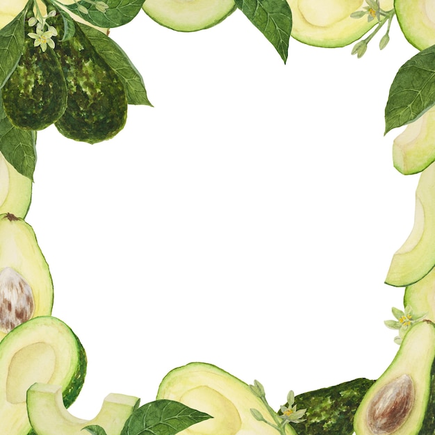 Frame of avocado watercolor hand drawn realistic illustrations Green and fresh arts of salad sauce guacamole smoothie ingredient For textile menu cards paper package design