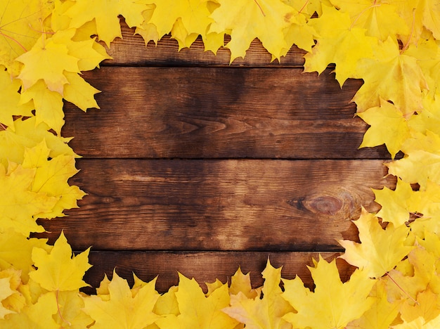 写真 木の上の紅葉のフレームの背景